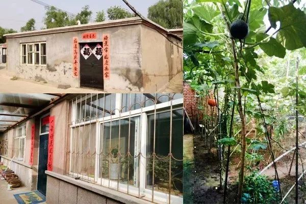 南票动迁最新消息2017，小巷风情与隐藏宝藏小店的独特魅力