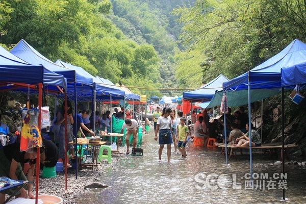 景区拦断国道收费引发争议，回应与深度思考