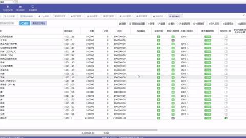 中国财政有能力完成今年预算目标，官方确认实现目标有保障