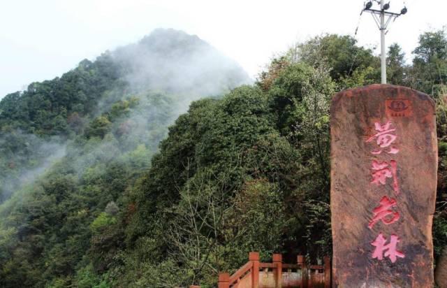 哀牢山神秘科考之旅，鸟鸣如人语，探寻自然奥秘的奇妙经历