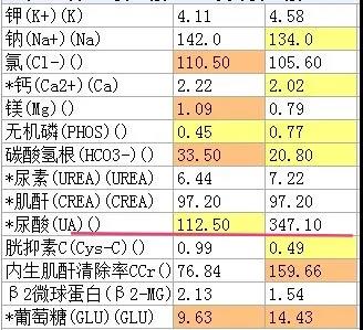 管家婆一肖中特_尿酸正常值最新标准,综合数据解析说明_Essential29.70.99