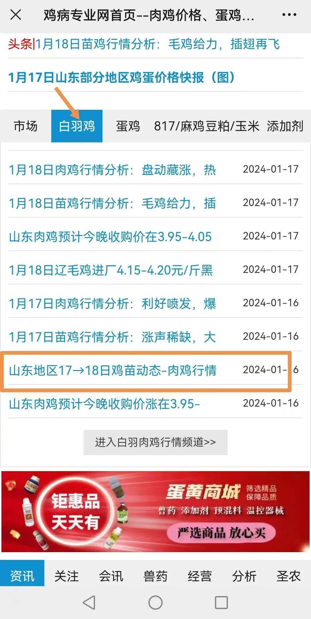 一肖一码100准管家婆_肉毛鸡价格最新行情