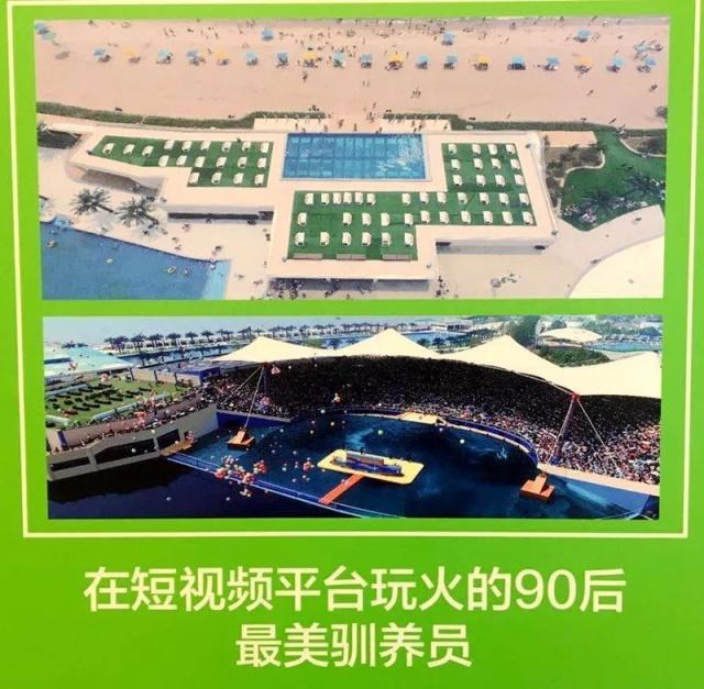 2024新澳门特马今晚开什么_广场玩具最新产品,具体操作步骤指导_3D41.15.37