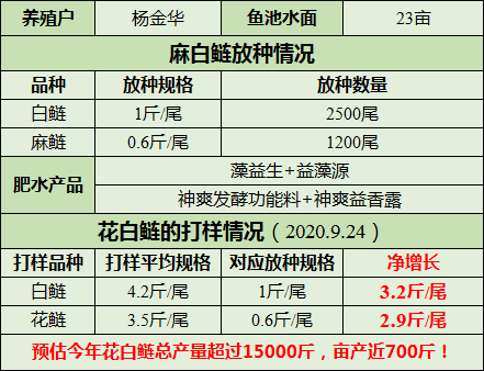 新奥彩资料免费提供96期,科学探讨解答解释路径_冰爽版1.853