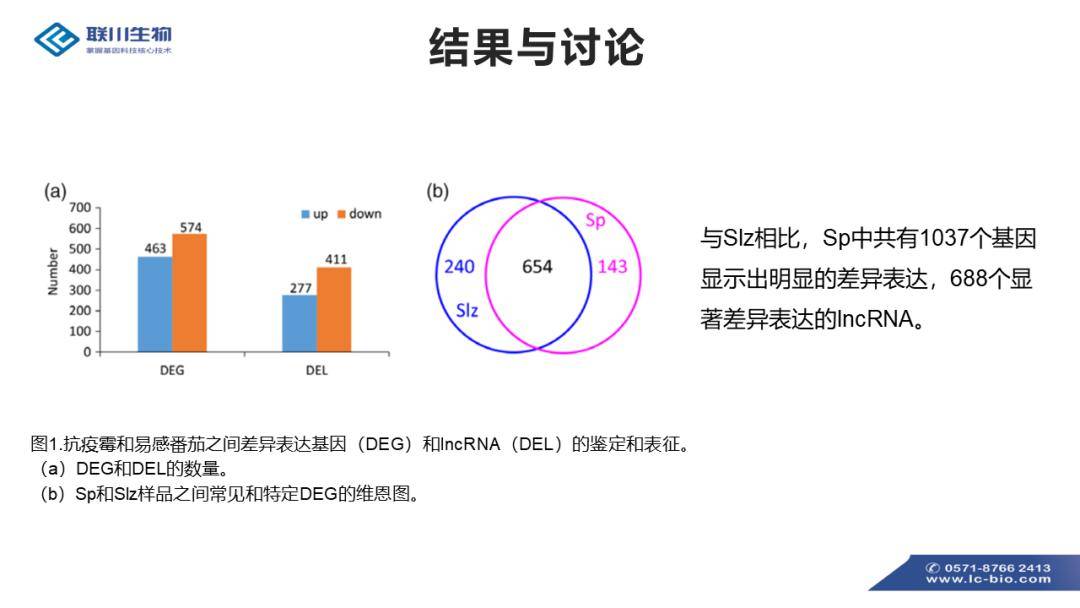 三期必开一期免费资料澳门,鉴别落实解答解释_kit15.851