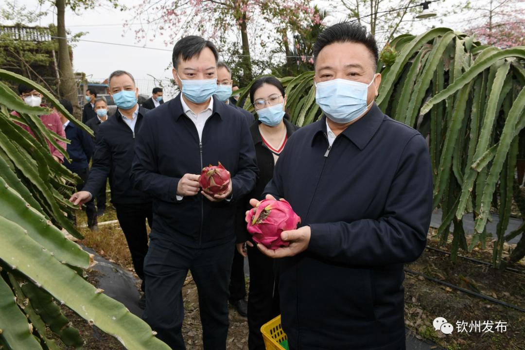 新澳精选资料免费提供网站,模型分析解答解释措施_鼓励款29.39