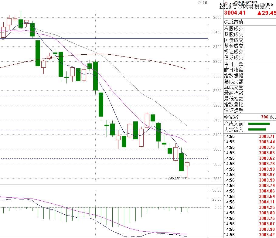 澳门今天晚上特马开什么,经济解读方案_竞技型35.757