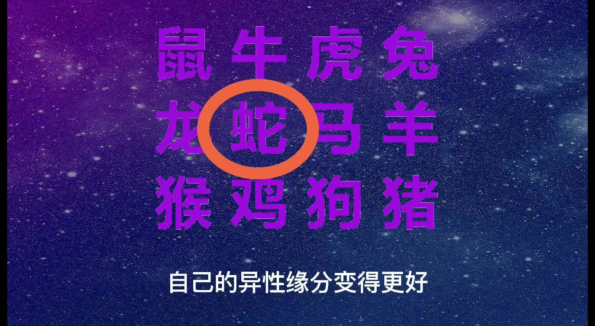 2024澳门今天晚上开什么生肖啊,净化解释落实解答_探险集27.314