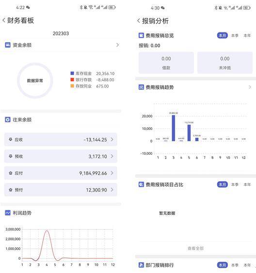 新奥管家婆免费资料2O24,财务方案解析_苹果型52.815