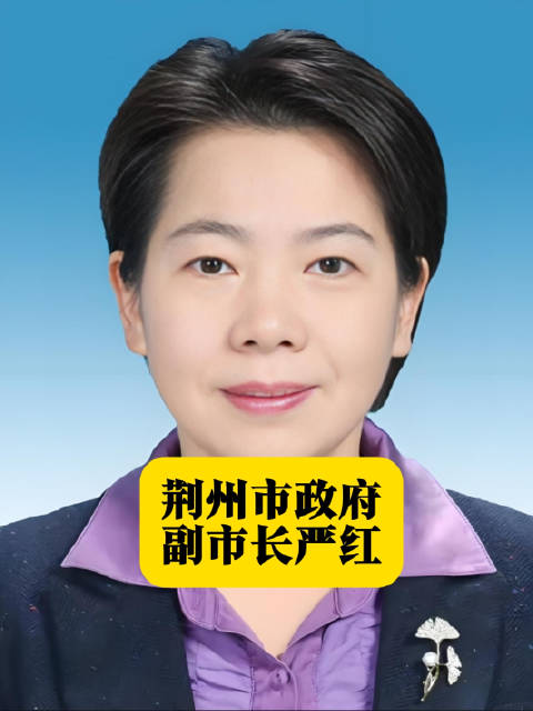 荆州市长被查