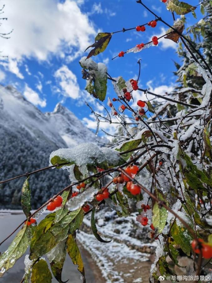 成都秋雪初降，科技为生活添彩