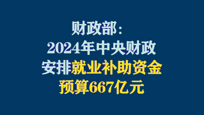 中央财政就业补助资金