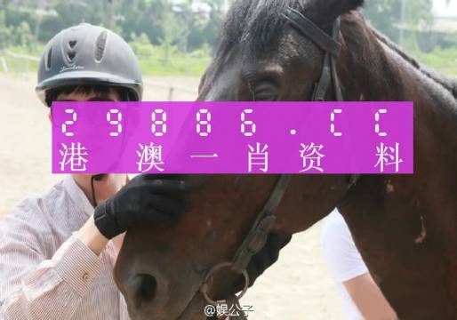 澳门一肖一码必中一码,领导解答解释落实_终点版66.048