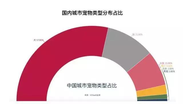 2024年管家婆精准一肖61期,全面数据应用分析_微型版77.771