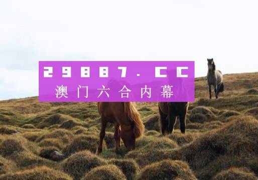 澳门4949开奖现场直播+开,权威解析说明_定制集63.809