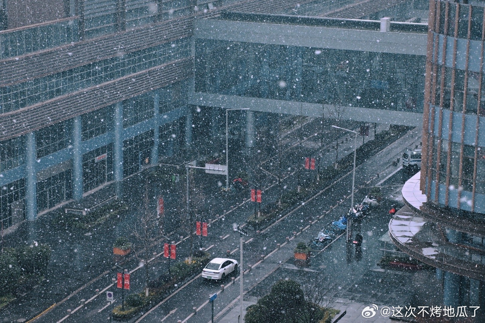 成都秋雪