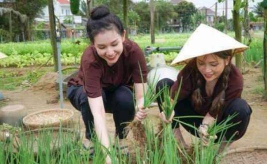 游客拍照踩田地