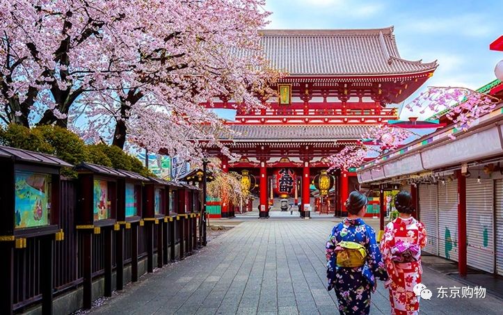 智利女网红在日本神社尝试智能引体向上，掀起科技新体验风潮