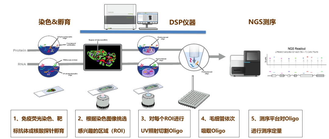 2024正版资料免费公开,最佳精选解释定义_理财版KJQ451.85