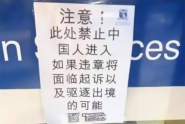 中国游客高喊英文口号引爆热议，小巷深处的独特风情小店成焦点