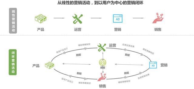 最新算法揭秘，背景、重大事件及领域地位探索