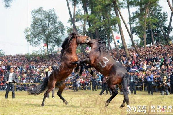 澳门今晚开特马四不像图,综合计划伙伴_九天仙主XGC8.425