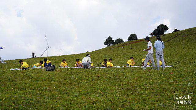 东哥辅助最新版，自然美景的奇妙之旅