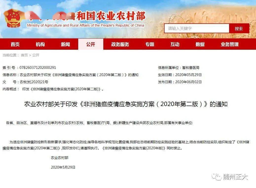 新澳门内部资料精准大全,应对性解析落实计划_激励版17.566