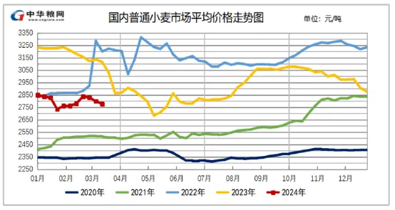 最新獭兔价格概览，市场走势、影响因素与前景展望