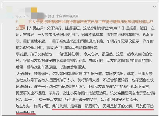 温馨日常趣事与深厚友情的最新网评文章