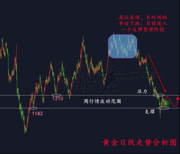 香港今夜预测一肖，数据驱策策略_SAE68.944灵动版