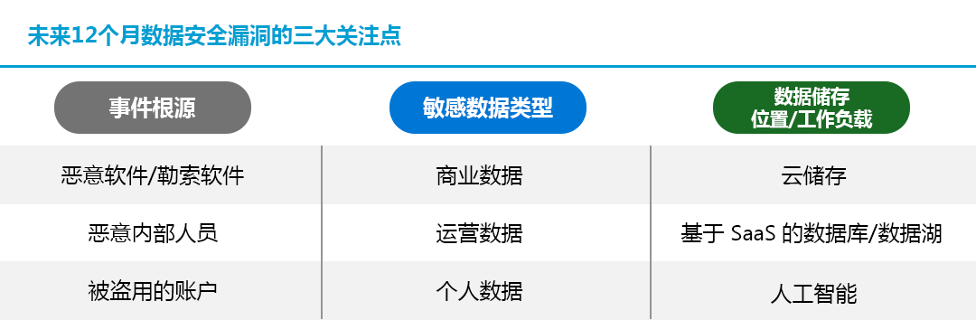 管家婆精准一码资讯发布，安全评估策略核心版FZG396.09解读