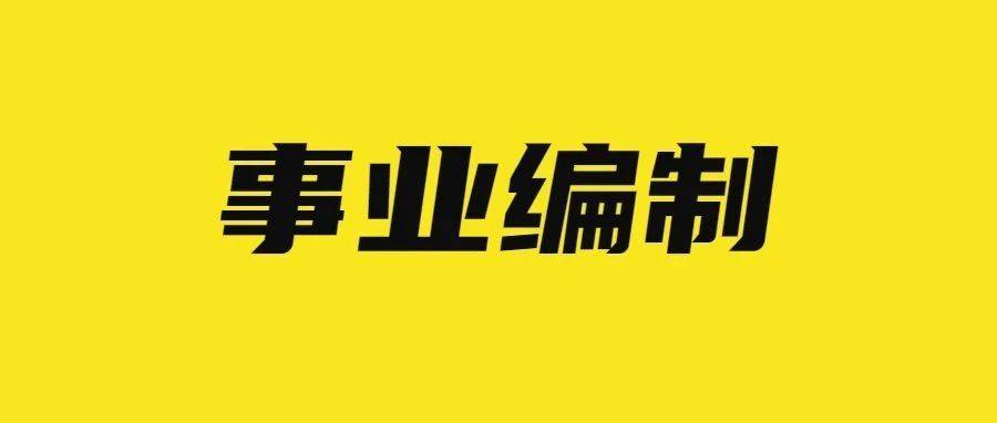 胶州工作招聘最新信息及友情与工作的温馨故事交织的温暖篇章