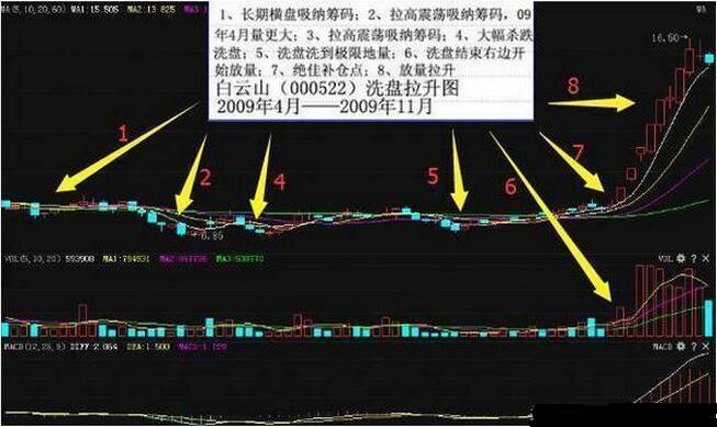 新澳门免费资料挂牌大全解析策略与技巧大揭秘_最新攻略分享