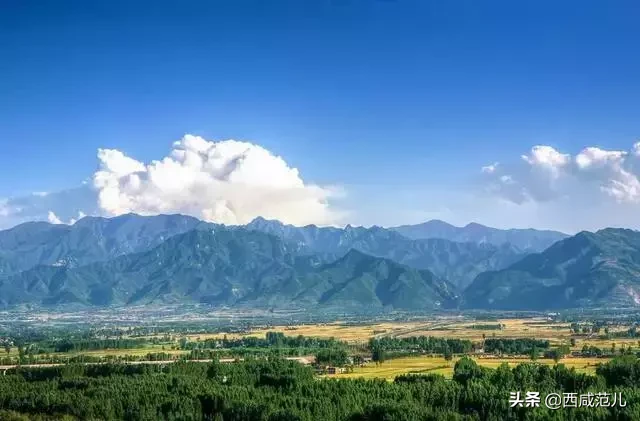 西安蓝田县最新动态及其区域影响力，一种观点解析