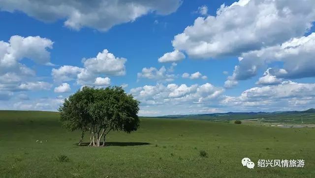 自然美景探险之旅，寻找内心的平和与宁静——最新黄色之旅