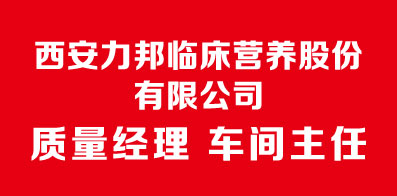 西安最新招聘，小巷深处的职业机遇