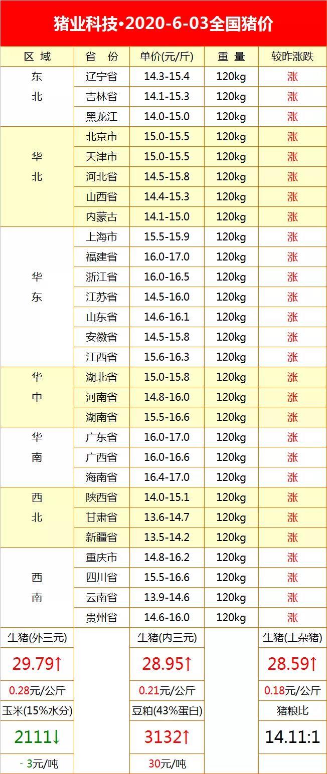 最新生猪价格变化揭示机遇，助力你的励志之路