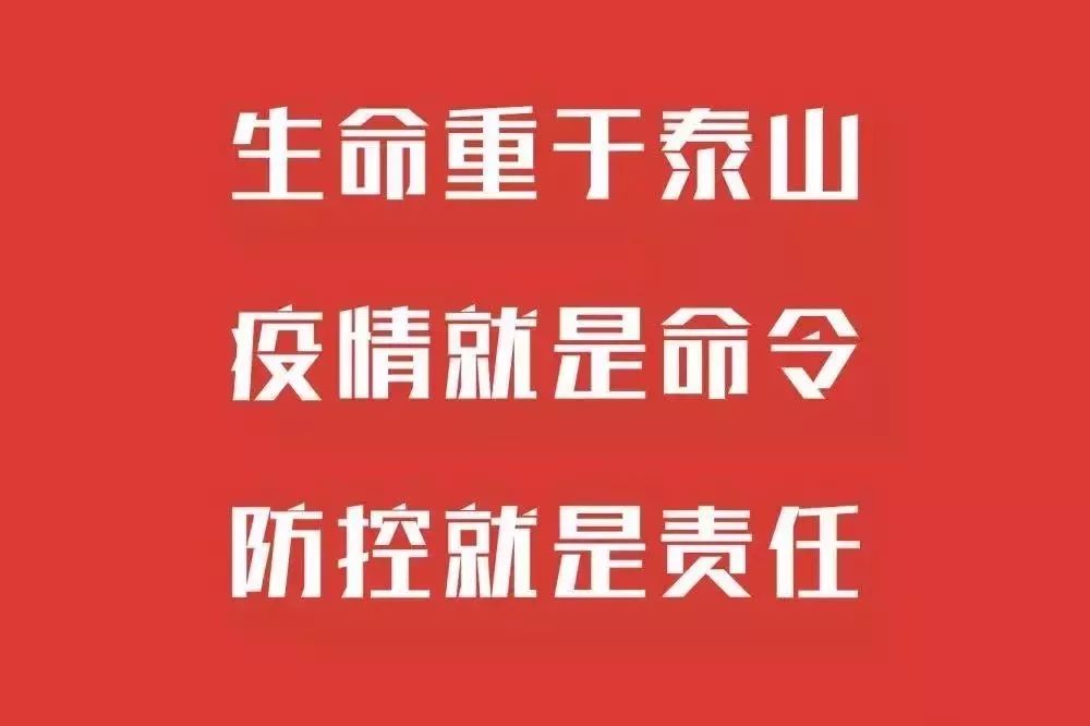 新乡最新疫情，城市防控与民生共融共进