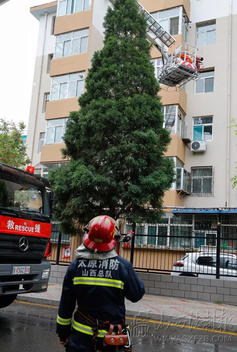 云南地震最新动态与小巷深处独特小店的探秘故事