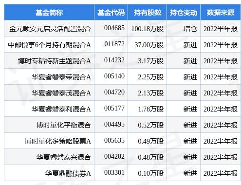 中海能源基金今日最新净值揭秘，探寻小巷特色小店背后的故事