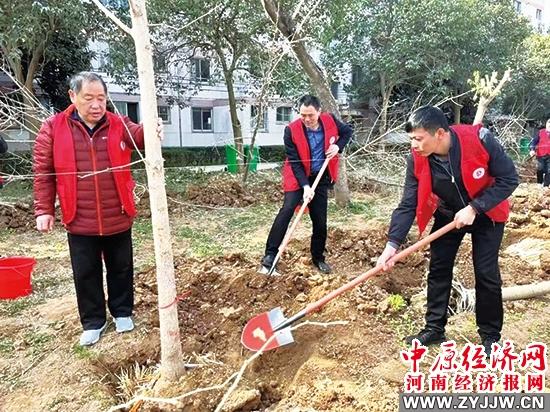 最新党员义务，时代的要求与行动指南