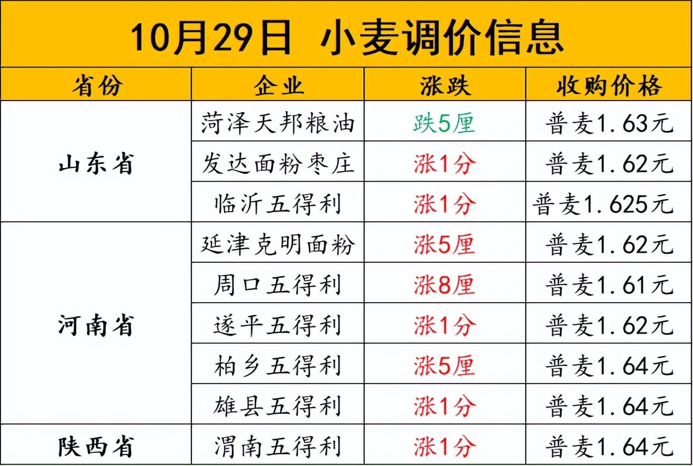 铅价格最新行情更新，详细步骤指南与实时价格查询