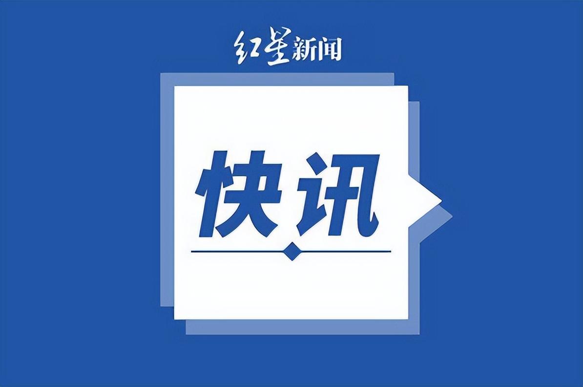 猪最新价格详解，查询指南与任务指引