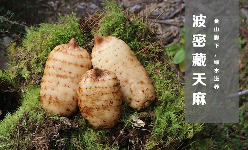 天麻价格2022最新价格,天麻价格2022最新价格，一场自然美景的旅行探索，寻找内心的平静与喜悦