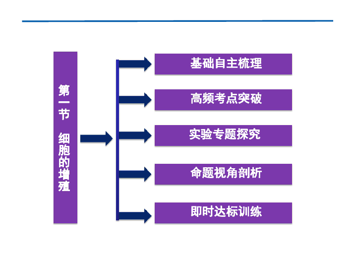 4949免费精准资料大全,策略优化计划_多功能版57.217