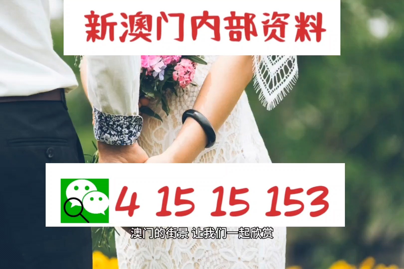 新澳2025今晚开奖资料四不像,系统分析方案设计_迷你版57.387