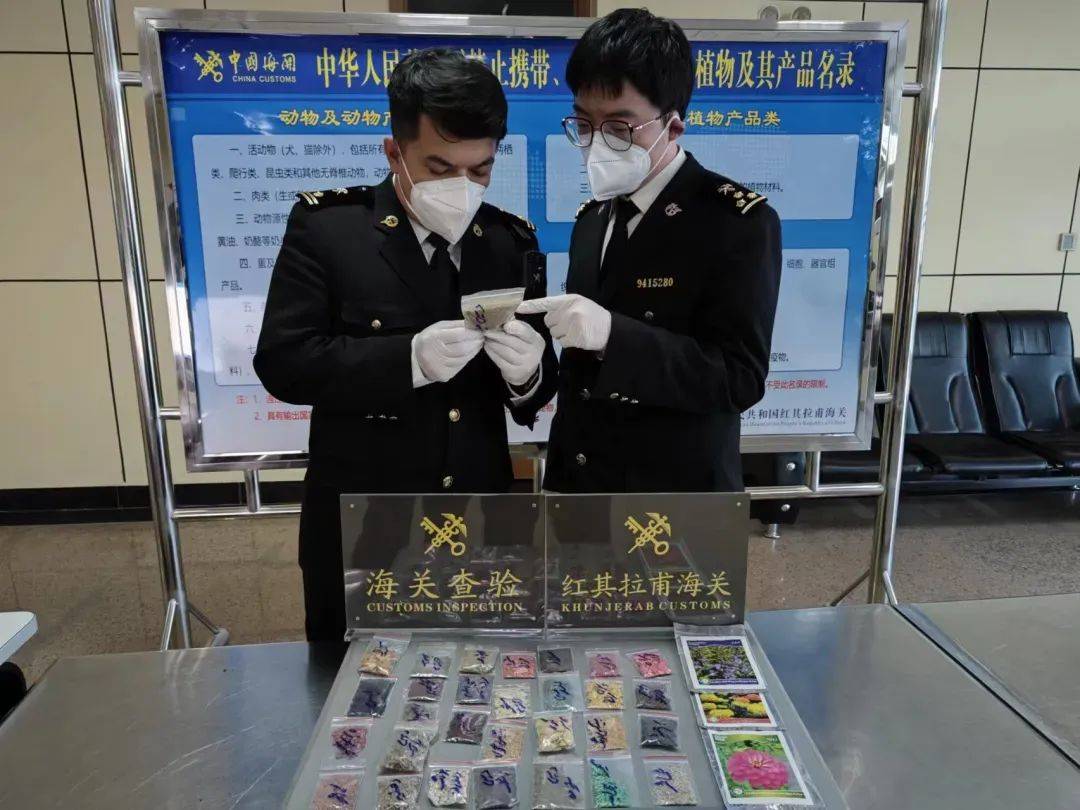 海关最新,海关最新趣事，友情与陪伴的温馨日常