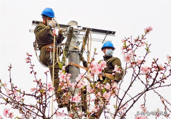 安徽农网改造最新动态与步骤指南